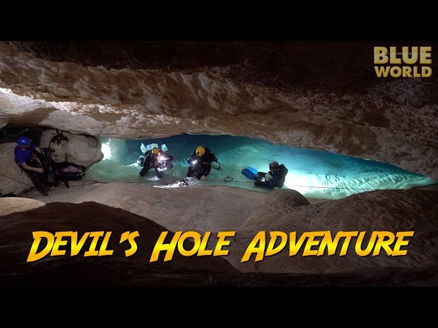 Devil's Hole Adventure! | JONATHAN BIRD'S BLUE WORLD