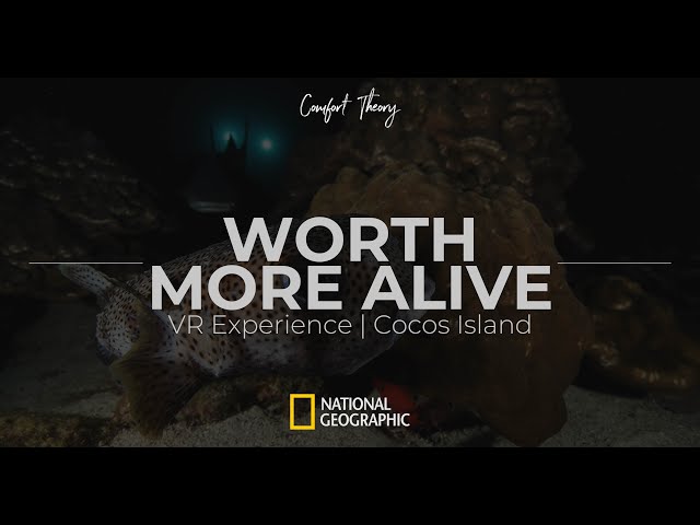 Worth More Alive - COCOS ISLAND