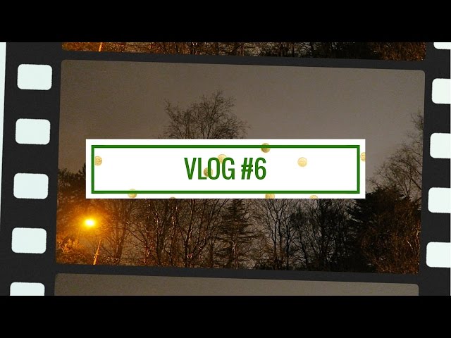 VLOG #6 -- January 6th -- In Which You're All Magnificent