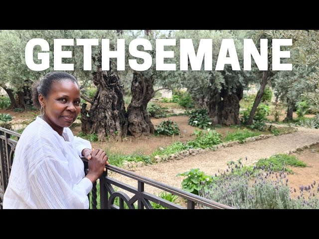 Gethsemane Where Jesus Was Arrested ||  Judas Betrayed Jesus With a Kiss