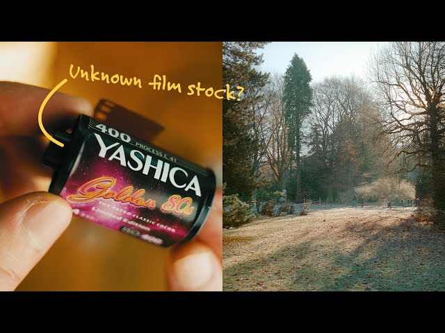 Why you should try this film stock by Yashica