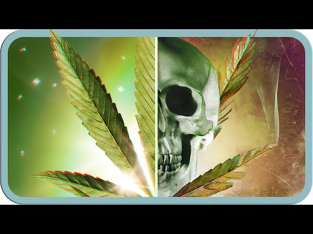 Die Wahrheit über Cannabis