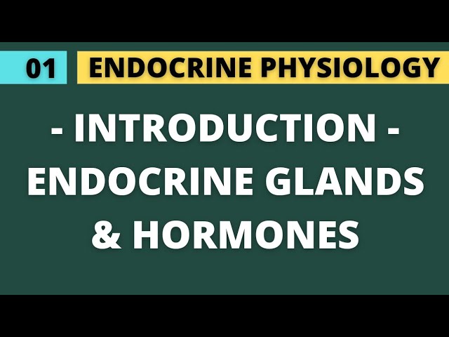 01 INTRODUCTION TO ENDOCRINE GLANDS AND HORMONE | ENDOCRINE PHYSIOLOGY