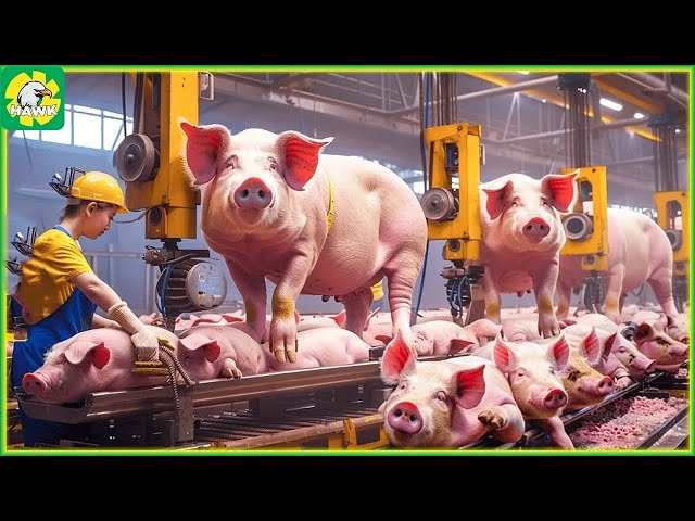Modern Food Technology Processing Factory at Another Level ►5