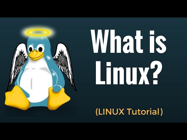 What is Linux? Linux Beginner Tutorial