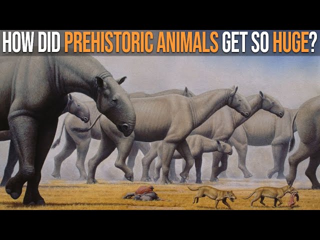 Why Were Prehistoric Animals Bigger Than Today’s Animals?