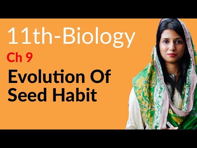 FSc Biology Part 1, Ch 9 - Evolution of Seed Habit - 11th Class Biology