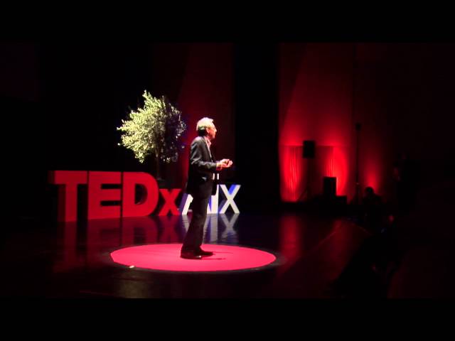The myth of globalisation | Peter Alfandary | TEDxAix