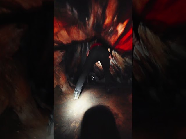 Climbing the Inside of a Tree