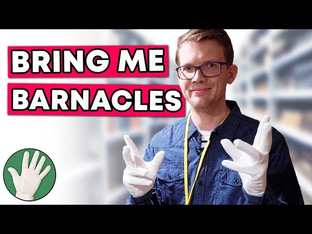 Bring Me Barnacles (feat. Hank Green) - Objectivity 201
