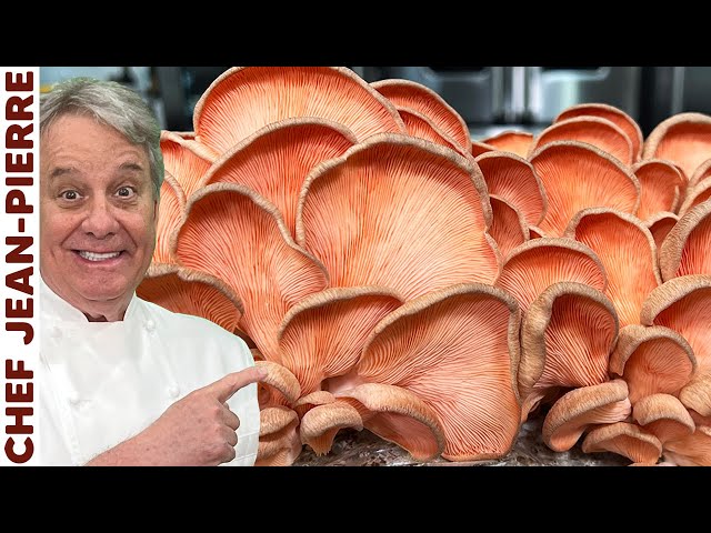 Mushroom Risotto with these CRAZY Mushrooms! | Chef Jean-Pierre