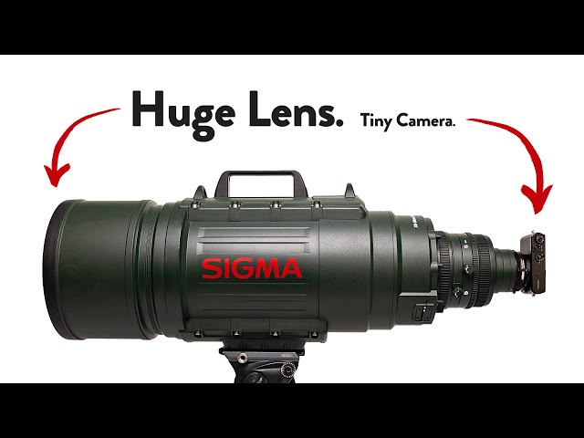 Shooting With A Cursed $26,000 Camera & Lens Combo