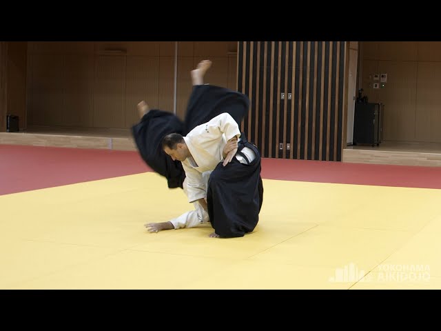 Guillaume ERARD - 19th Kanagawa Prefecture Aikido Federation Demonstration (2023)