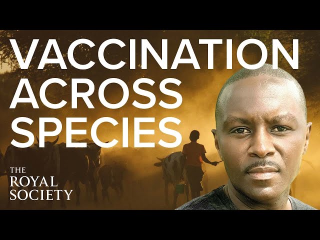 Can you use the same vaccine on different species? | The Royal Society