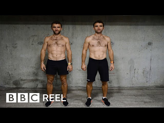 Is a vegan diet healthier than eating meat and dairy? - BBC REEL