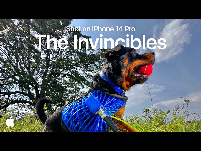 iPhone 14 Pro | The Invincibles | Apple