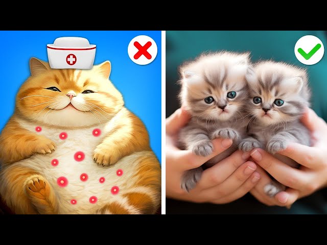 Hospital Pet Rescue! || Crazy Pet Hacks and Hilarious Moments by Gotcha! Hacks
