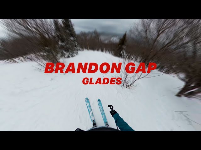 Backcountry Skiing in Vermont (Brandon Gap Glades)