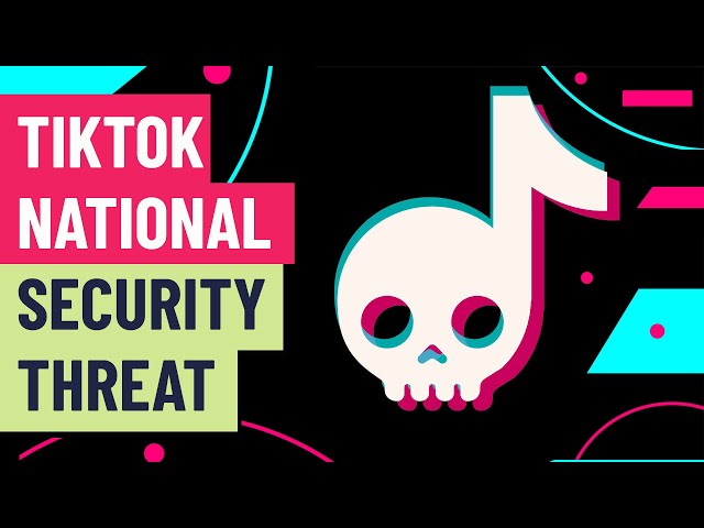 National security threat posed by TikTok goes far beyond data collection, expert says