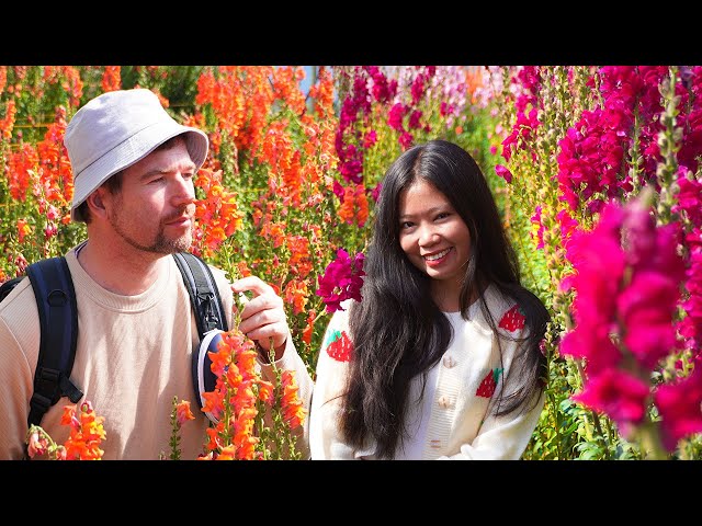FLOWER PARADISE IN NORTHERN PHILIPPINES | ISLAND LIFE
