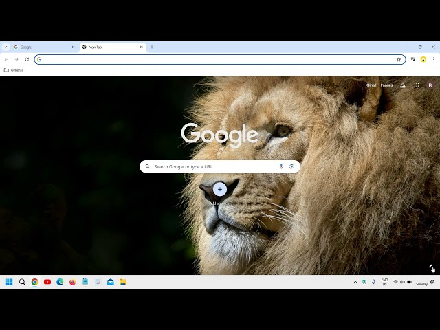 How To Change Chrome Background & Google Chrome Theme/Color (2024)