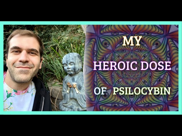 My Heroic Dose of Psilocybin