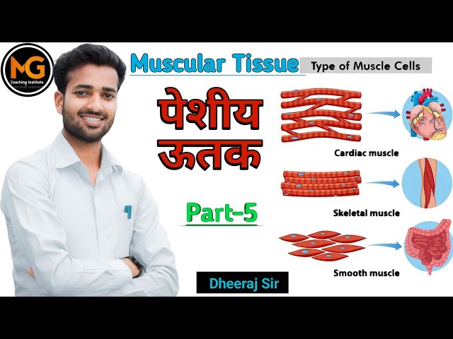 Muscular Tissue।। पेशीय ऊतक।।Part -5।। By Dheeraj Sir।।