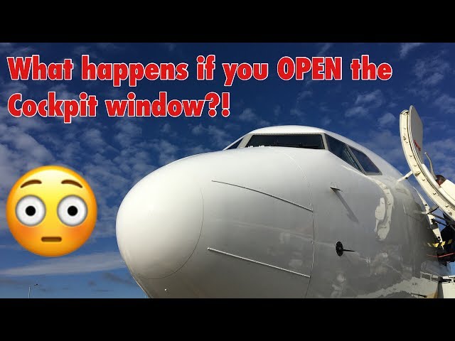 What happens if you OPEN the cockpit window?!