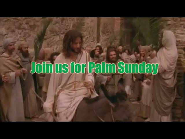 Palm Sunday Scripture from "The Gospel of John" movie