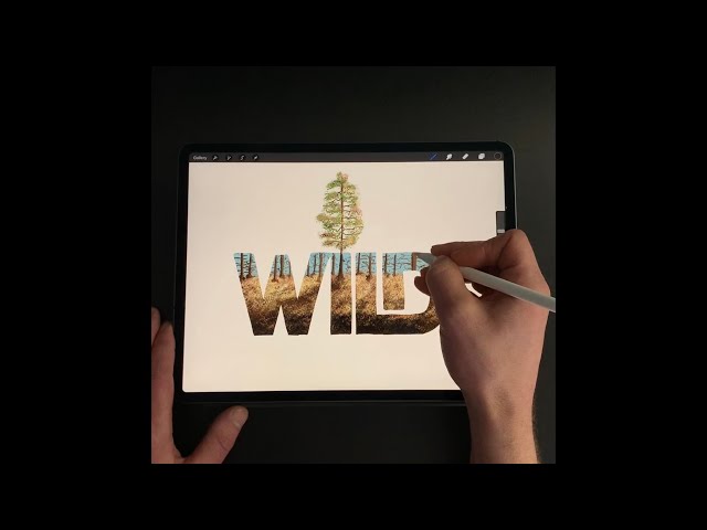 WILD 🌲 Procreate Lettering & Illustration Time-lapse
