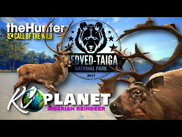 Monsters of the North: Treestand Hunting Siberian Reindeer | KC Planet S1E05 | Call of the Wild