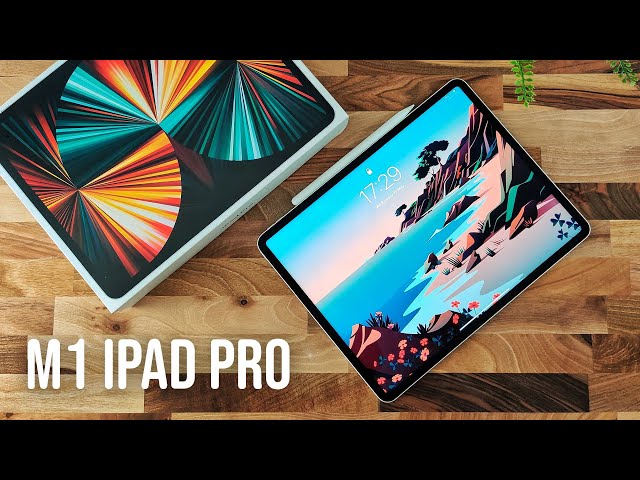M1 iPad Pro (2021) - Artist's First Impressions