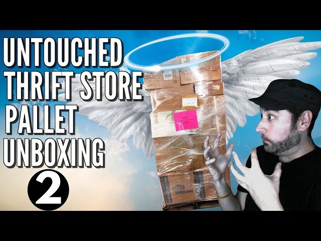 Spent $80 on a Pallet of Thrift Store Donations! WHAT'S INSIDE? Part 2