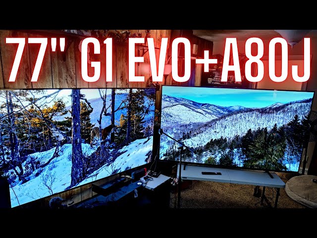 77" LG G1 Evo and Sony A80J Live Comparison, What Do You Want To See?