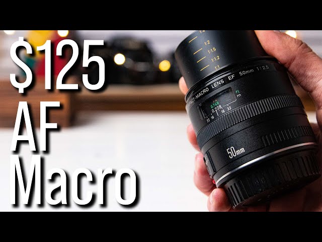 Too Good to be True? - Canon EF 50mm F2.5 Macro