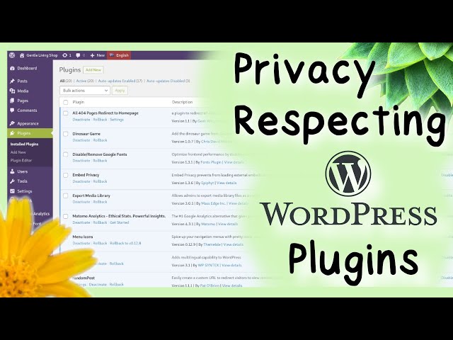 Privacy Respecting and Fun WordPress.org Plugins (no cookie notice needed & GDPR compliant!)