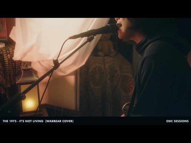 THE 1975 - IT'S NOT LIVING(WARBEAR COVER)【ODC SESSIONS】