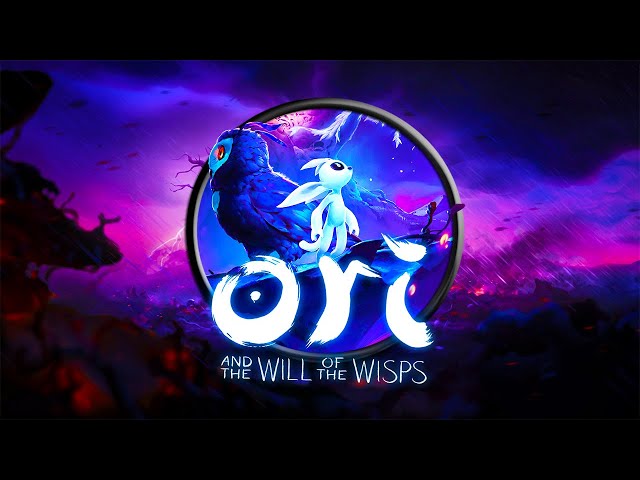 My WILL OF THE WISPS Experience