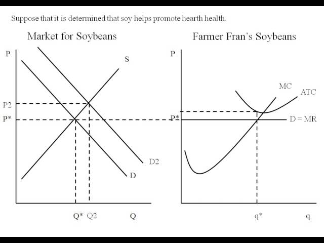 Econ - Perfect Competition Market Dynamics