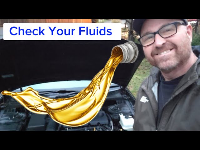 How to Check Fluids in Your Car