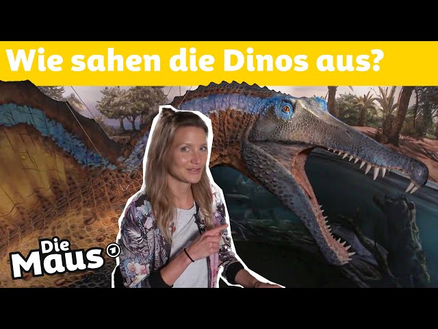 So wird ein Dinosauriermodell gebaut | DieMaus | WDR