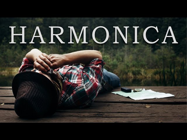Relaxing Harmonica Instrumental Music Songs with Beautiful Nature Views