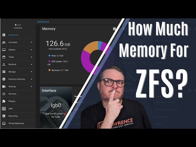 How Much Memory Does ZFS Need and Does It Have To Be ECC?