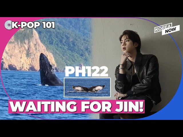 [Weekly BTS] Will Jin be able to see his namesake PH122 whale once he is discharged from the army?