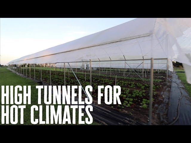 Hot Climate Farming Made Easy: The Power of High Tunnels!