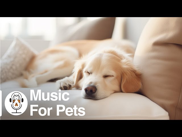 Soothing Music for Dogs to Calm Down, Relax & Sleep | Dog Music Therapy Calming Aid for Relaxation