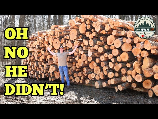 Hard Working Man Pays to Work! Full Log Truck In The Woodyard!