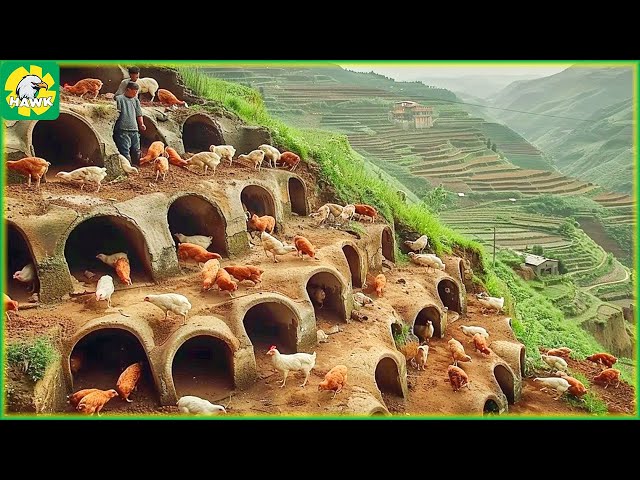 🐓 How Chinese Farmers Dig Caves to Raise Chickens in The Mountains | Farming Documentary