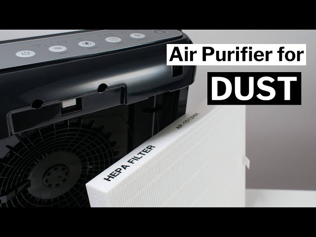 The Best Air Purifier for Dust