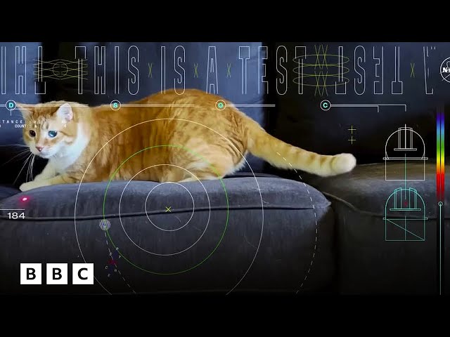 Nasa space lasers beam cat video 19 million miles | BBC Global